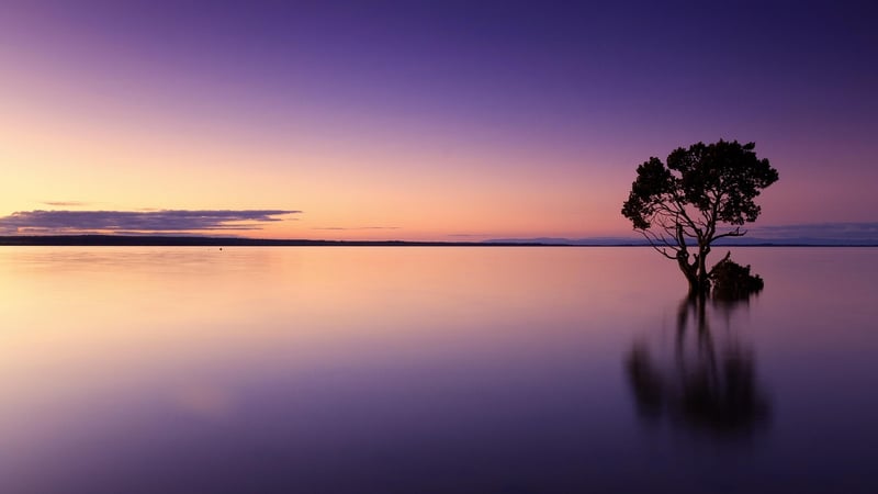 Sunset Watching